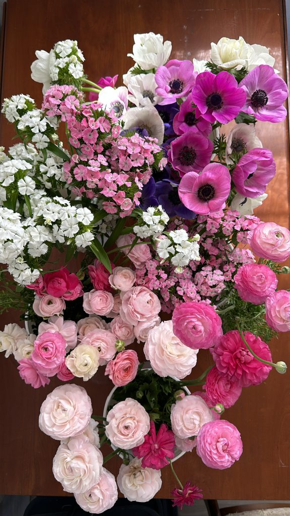 A fresh harvest of Ranunculus, Anemones and Sweet William from my cut flower garden.
