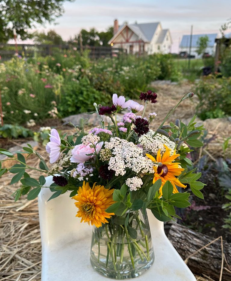Late Spring (late May/Early June) flower arrangement of Rudbeckia, Garden Roses, Baptisia, Yarrow and Bachelor's Buttons.