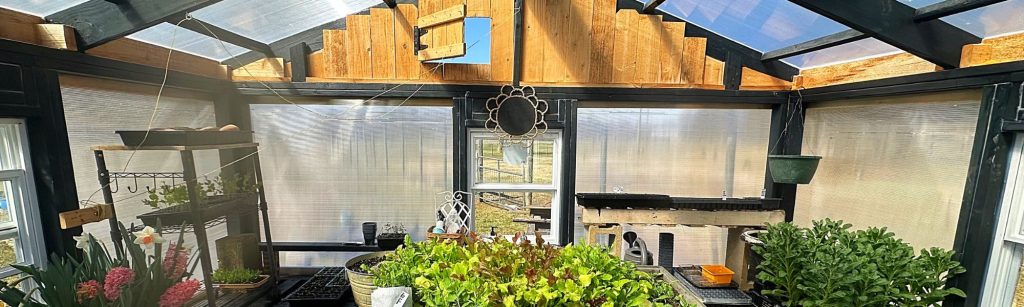 How I Keep My Greenhouse Warm: Simple & Effective Heating Methods