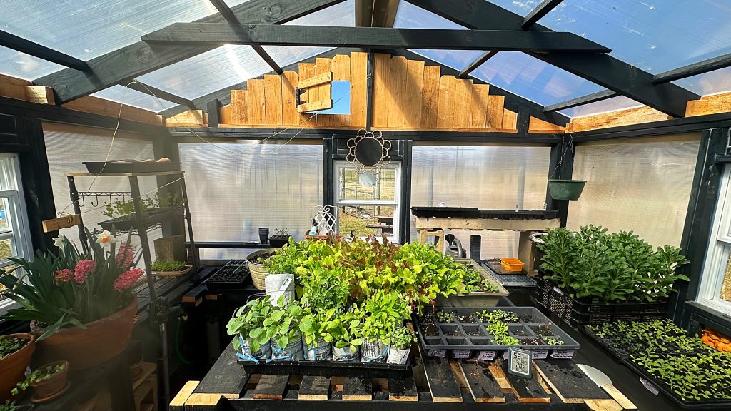Inside Greenhouse 2