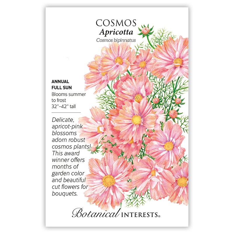 1350w Cosmos Apricotta