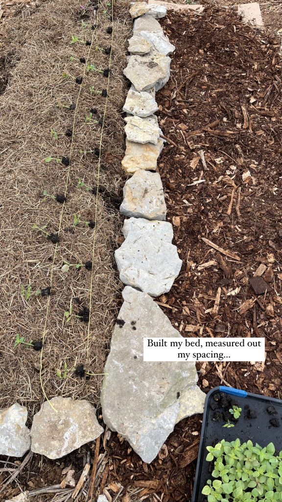 My ideal garden bed has a layer of mulch protecting the plants and a boarder between my bed and pathway. For my boarder, I use things I find around the farm such as rocks and fence post scraps. The boarder and a mulched pathway helps prevent soil erosion in heavy rains.