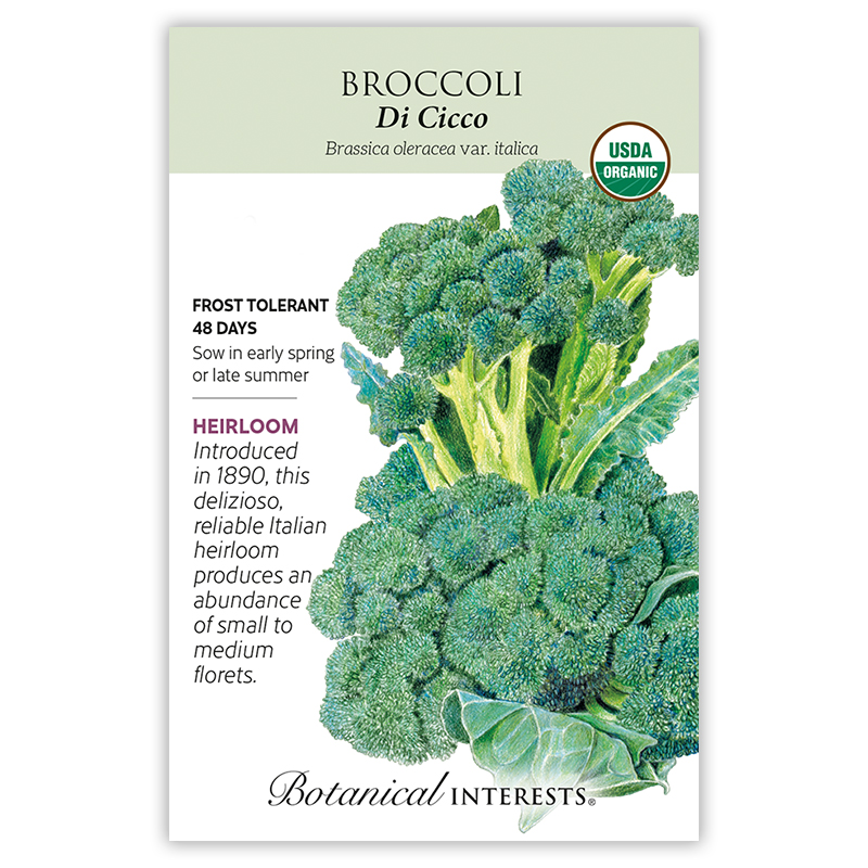 3056w Broccoli Di Cicco ORG