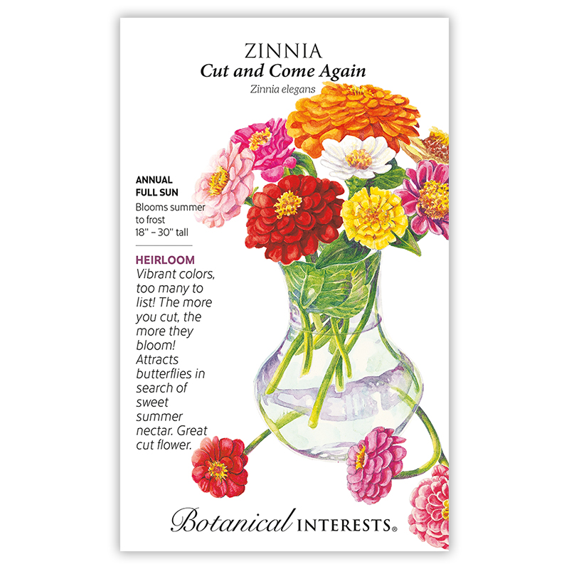 7202w L Zinnia Cut And Come Again