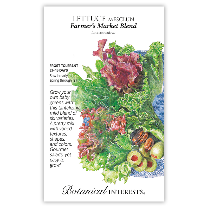 7303w L Lettuce Mesc Farmers Market
