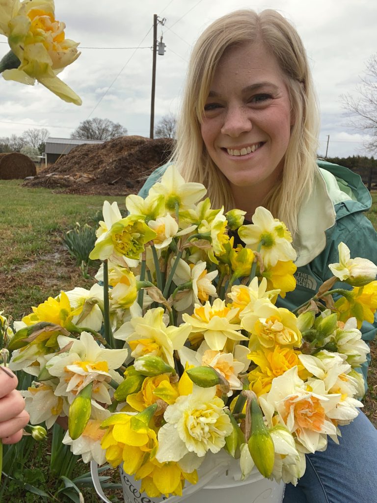 Here is a daffodil harvest before a storm. You don't have to wait for the daffodil to be in full bloom to harvest. Check out my blog post on best daffodil harvesting tips.