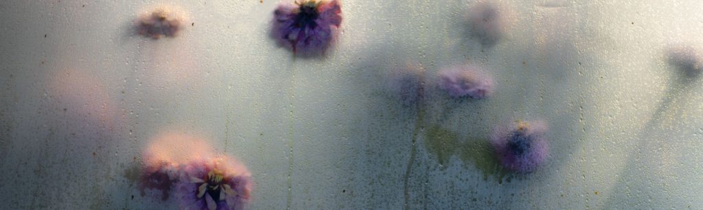The Beautiful Pursuit: I'm in a Floret Documentary