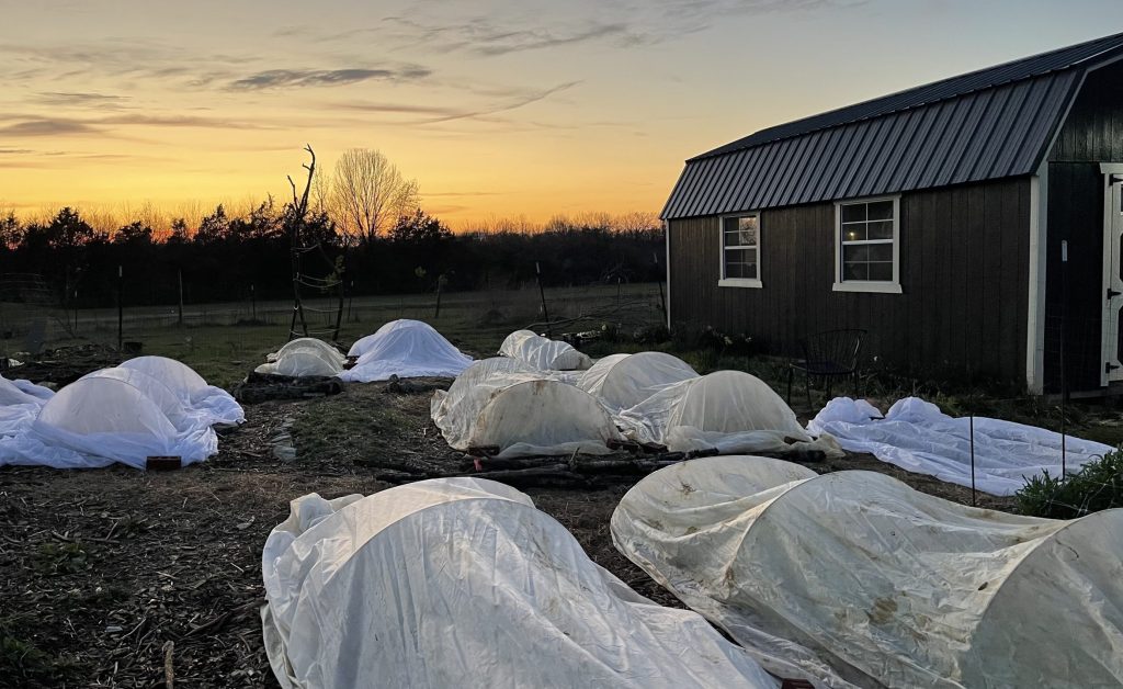Weathering the Storm: Essential Garden Prep for Severe Storms
