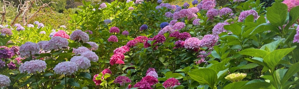 Botanical Garden Style Guide: Casual Chic Comfort for Strolling