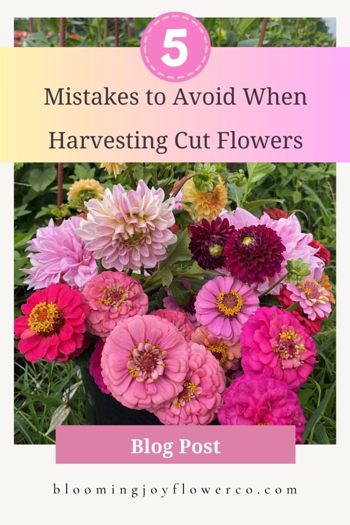 Summer Cut Flower Harvest Cheat Sheet 3