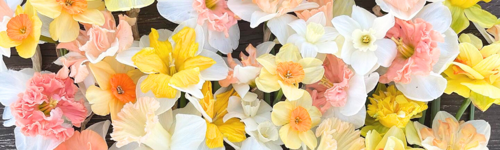 What Makes a Garden a ‘Cut Flower’ Garden?