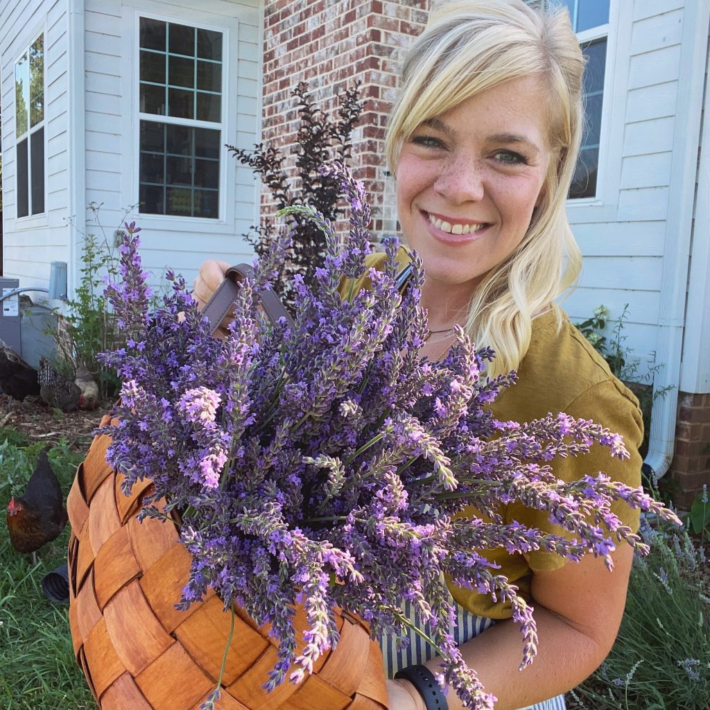 Lavender