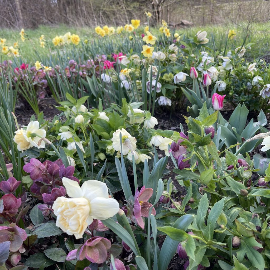 Secret Garden