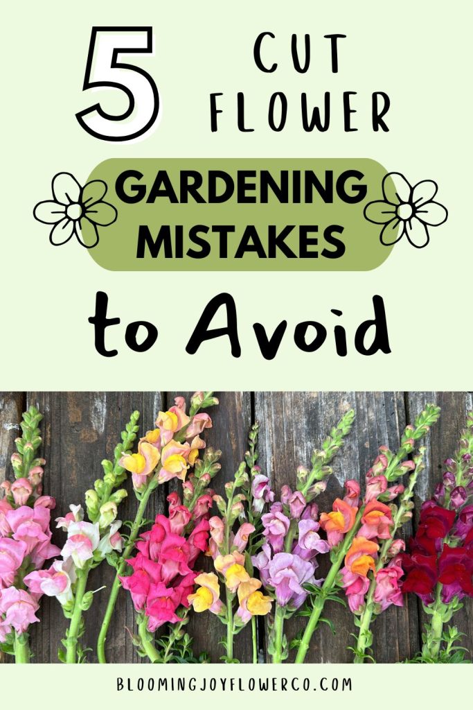 5 Cut Flower Gardening Mistakes