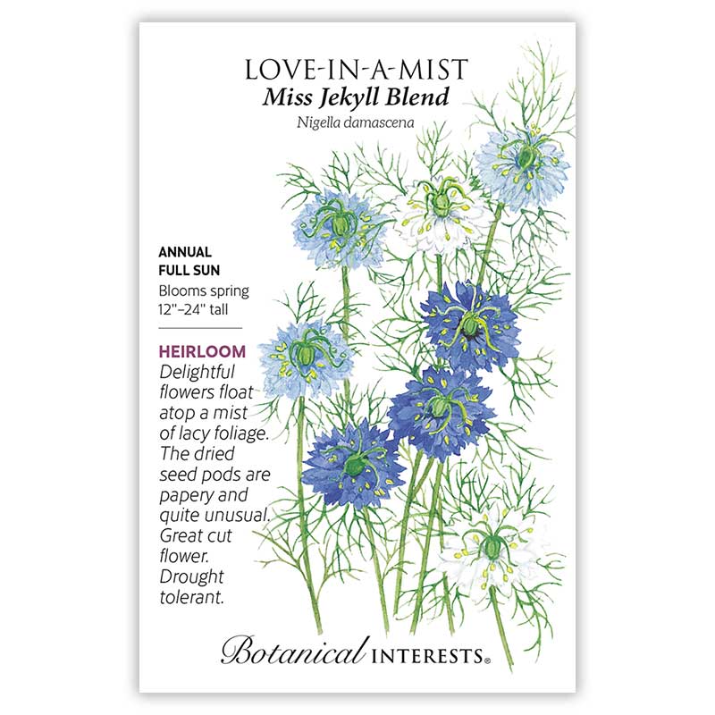 1054w Love In A Mist Jekyll