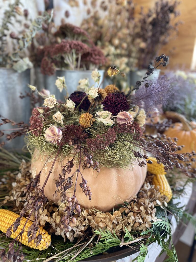 Dried Flower Pumpkin 2