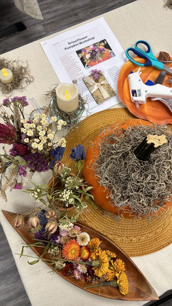 Dried Flower Pumpkin Supplies