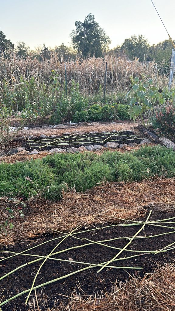 Fall Garden Beds