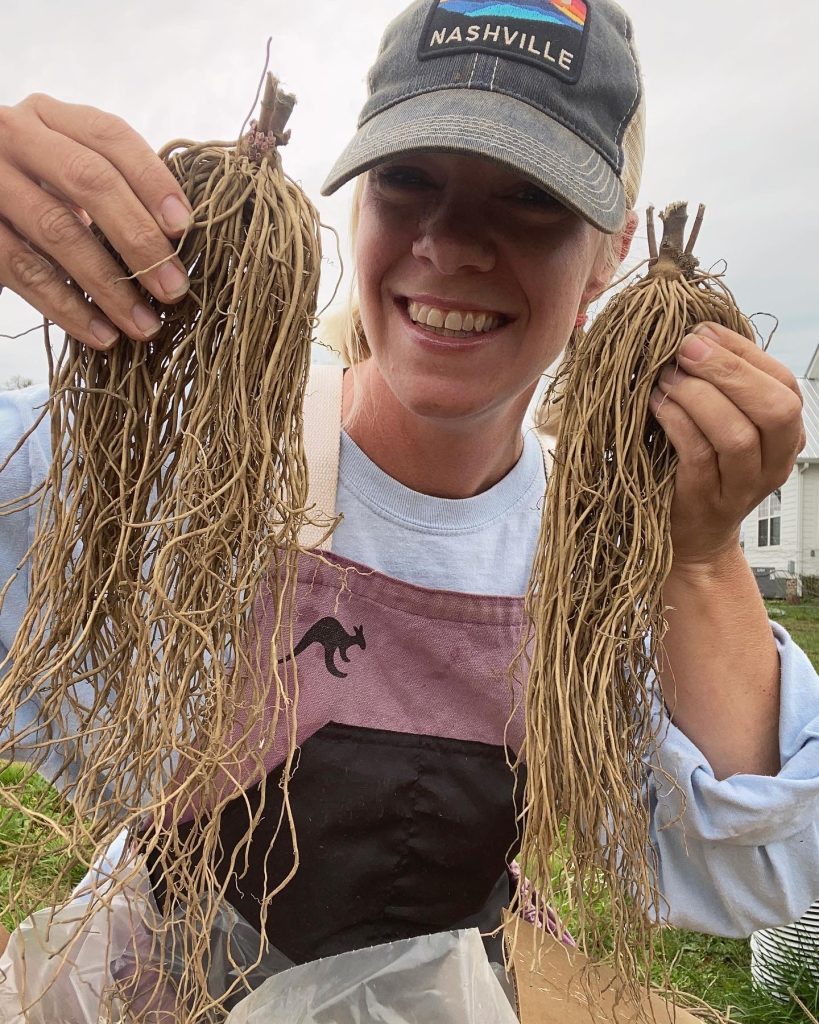 Milkweed Bare Root