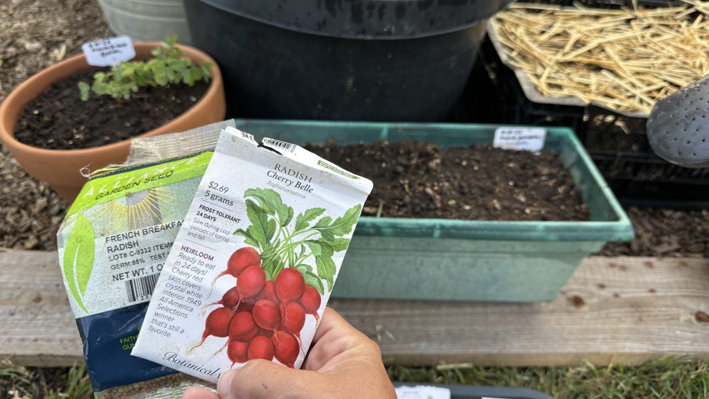 Radish Seed Packet And Pot