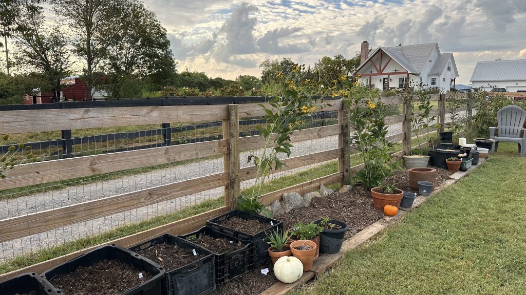 A look at the Fenceline Vegetable Container Garden. So many seeds planted in the process of germination!