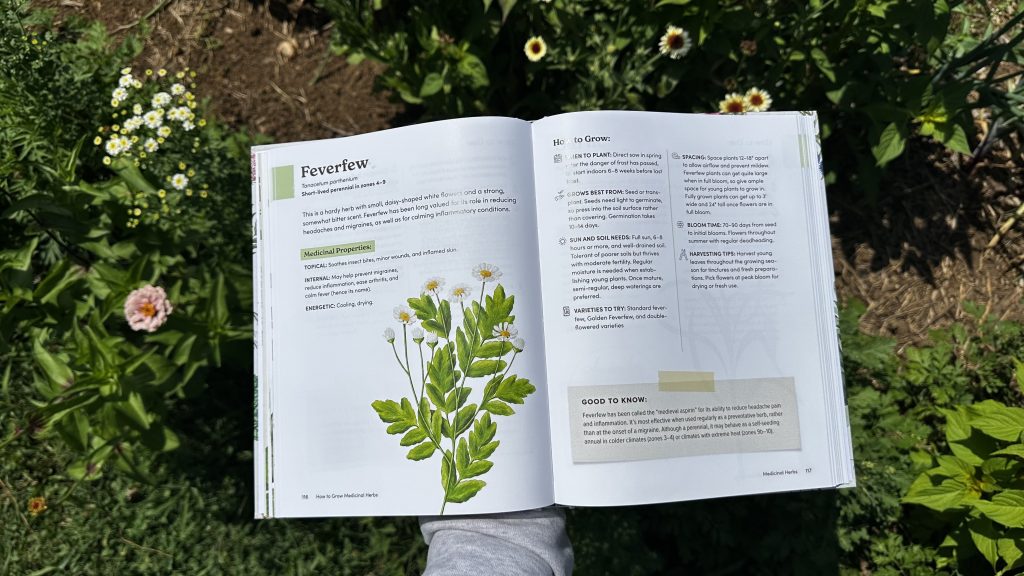 Beautifully illustrated pages in the 'How to Grow Medicinal Herbs' book.