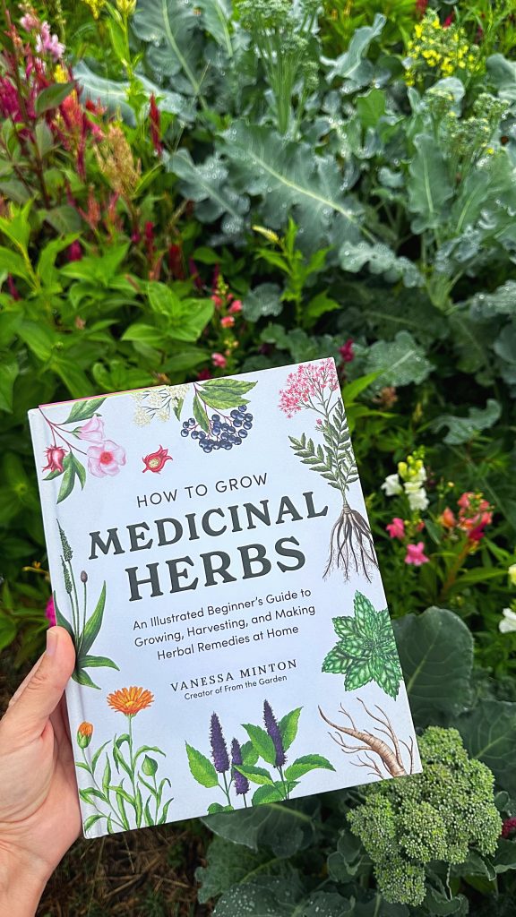 From Garden to Pantry: My Review of 'How to Grow Medicinal Herbs' Beginner's Guide Book