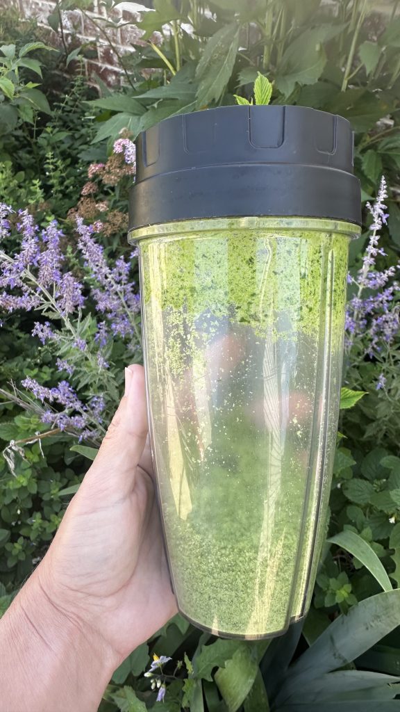 Using the 'Basil Salt' recipe on page 49 of the 'How to Grow Medicinal Herbs' book, I used my magic bullet to blend the basil and salt.