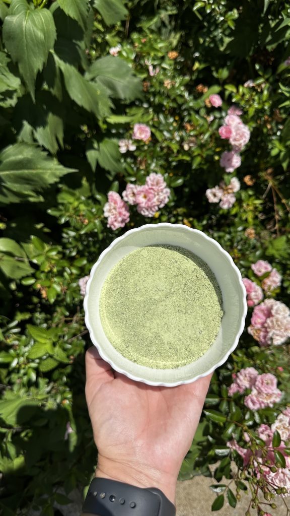 The finished basil salt after drying in the oven. I can't wait to cook with it! It smells delicious!