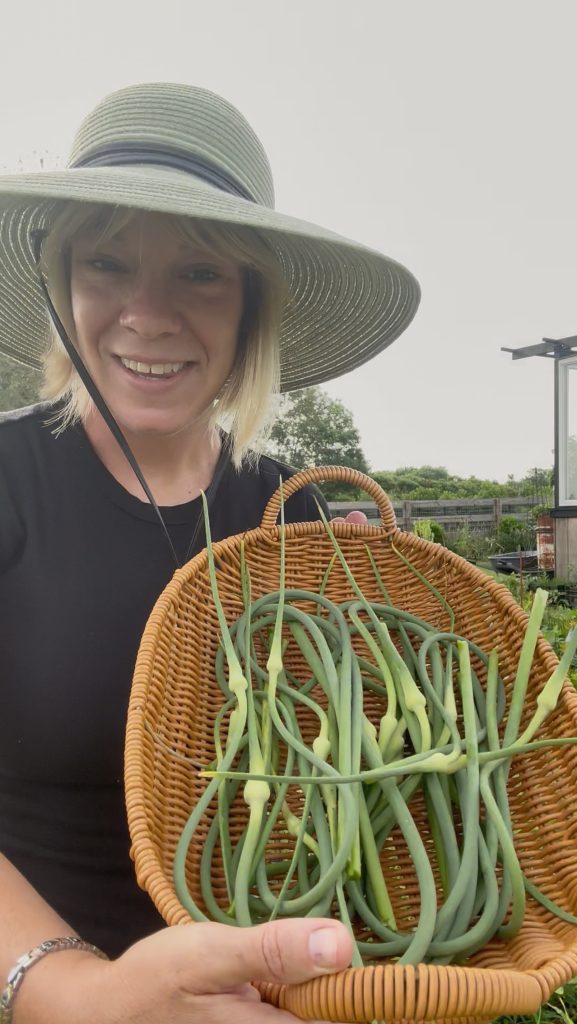 Kara Jamison Harvesting Garlic Scapes
